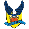 CSU Sibiu 2